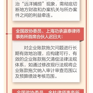 代表委员建言加强民企司法保护： 从源头治理涉企执法乱象 让企业轻装上阵安心经营 ...