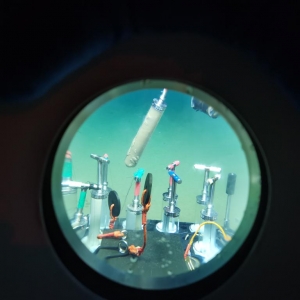 6000米以下深海生物如何“抗压”？我国科学家首次揭秘