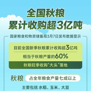 全国秋粮累计收购超3亿吨
