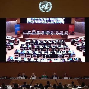 联合国国际劳动妇女节纪念活动在日内瓦举行