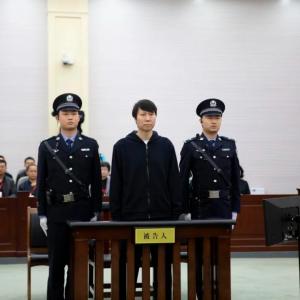 惩恶扬善！2025两高报告提到这些大案要案