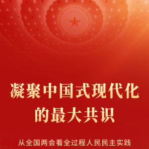 凝聚中国式现代化的最大共识——从全国两会看全过程人民民主实践 ...