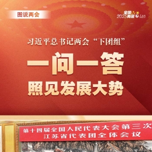 习近平总书记两会“下团组” 一问一答 照见发展大势
