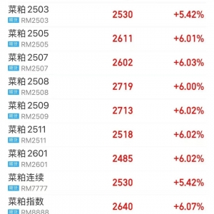 突然 大面积涨停 期交所出手！中方接连反制 “追多需谨慎” ...