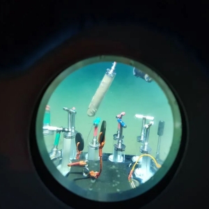 6000米以下深海生物如何“抗压”？我国科学家首次揭秘