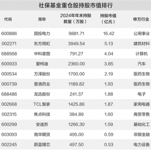 社保基金现身12股股东名单 政策引导耐心资本践行“长钱长投” ...