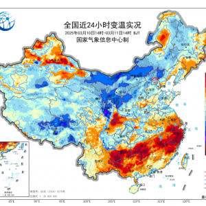 暴雪、暴雨、大风、沙尘、降温、回南天...都集齐了