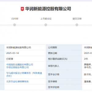 今年首单主板IPO华润新能源获深交所受理 资本市场赋能绿色能源新引擎 ...