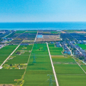 800多万立方米太湖淤泥，如何再利用？（深阅读·人与自然和谐共生的现代化） ...