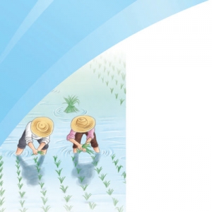 跟着课本探春耕（春耕进行时）