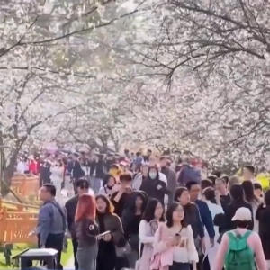 至本周末全国多地暖意洋洋！北方升温幅度大 西南地区多雨雪 ...