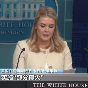 白宫争吵19天后美乌总统再通话 表面和气却难掩分歧