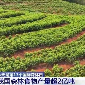 我国森林食物去年产量超2亿吨 成第三大重要农产品