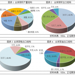 国内菜系供需：近松远紧