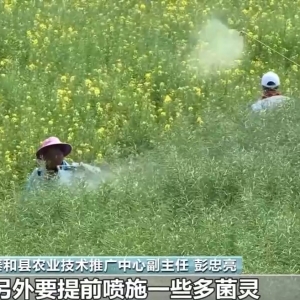 中东部气温骤降 对春耕春管影响几何？如何应对？