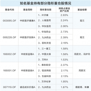 知名基金经理隐形重仓股曝光 科技板块成布局主战场