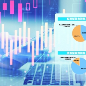 股票型基金获增持 震荡市绩优产品受青睐