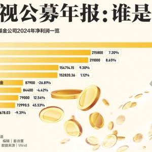 透视公募年报：谁是赢家？