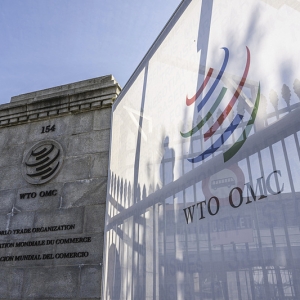 世贸组织警告：美关税政策或致今年全球商品贸易量萎缩1%