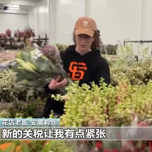 美加税加到内伤 特朗普又催降息 纳指“自由落体”进熊市