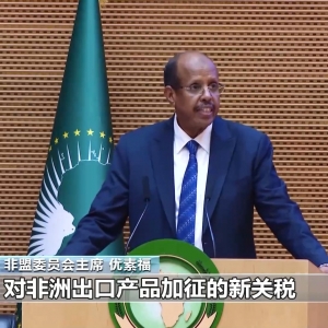 非盟特别会议聚焦美国关税政策 共商应对之法