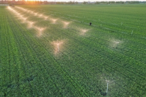 全国累计春灌面积超2亿亩