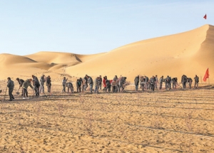 新疆于田的玫瑰治沙又致富（美丽中国·生态治理中的特色植物①） ...