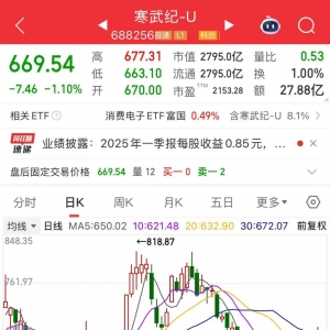 营收暴增超4230%，AI芯片第一股业绩炸裂！重大项目密集开工，这些低PE+低PB概念股亮了 ...