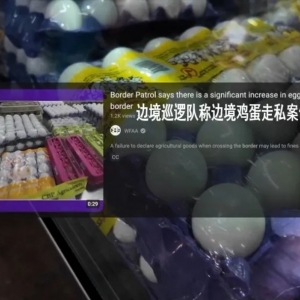 冲上热搜！美墨边境开始走私鸡蛋！“关税政策反噬美国本土民众” ...
