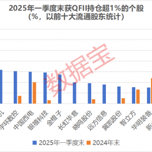 买买买！知名QFII持仓曝光，中东土豪加仓“大矿主”