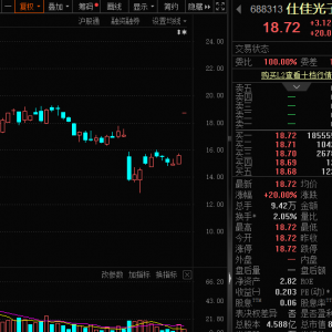 秒板，688313火了，算力核心产品批量出货！事关大数据，中国增速或全球第一 ...