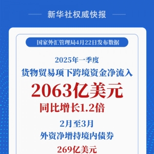 同比增长1.2倍！一季度货物贸易项下跨境资金净流入2063亿美元 ...
