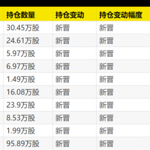 大曝光！次新基金，猛买这些股！