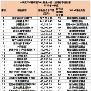 “专业买手”出手了，公募FOF最新重仓基金曝光！