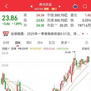 突发，603156跨界，增资存储芯片巨头！新能源汽车产销两旺，低PE+低PB+超跌绩优股是它 ...