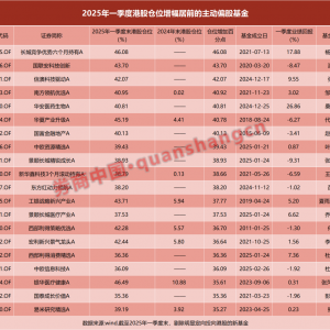 近五年新高！主动偏股基金扫货港股，这些股票受青睐