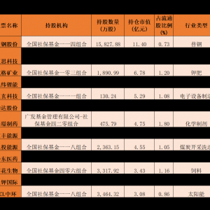 社保基金大举扫货！