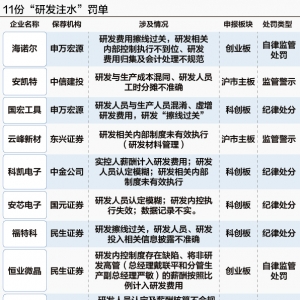11张IPO罚单深度透视：“研发注水”三大手法曝光 “擦线达标”成突击造假“重灾区” ...