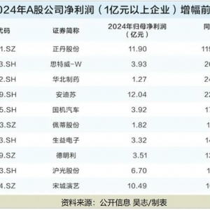 A股2024年业绩“增长王”Top10名单来了！一季报也有亮点……