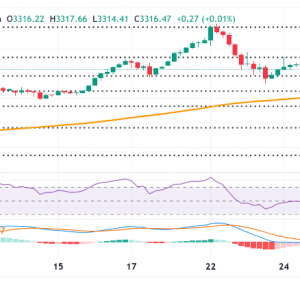 瑞银分析师预计金价将重新测试3,500美元/盎司，尽管交易者进行区间交易 ...