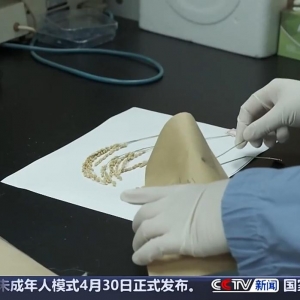 中国空间站多项太空实验已取得成果 未来将陆续开展千余项研究 ...