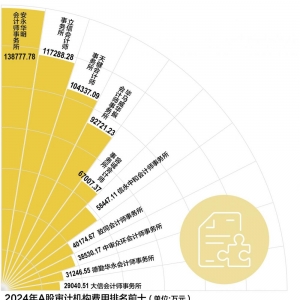 A股审计江湖“大洗牌” 安永2024年审费用登顶