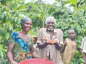 “借助中国大市场，布隆迪咖啡产业的未来充满希望”（国际视点） ...