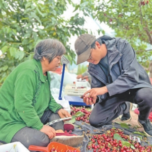当村民的“万能补丁”（我的家乡我建设）