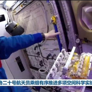 神舟二十号航天员乘组有序推进多项空间科学实验