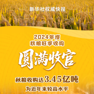 2024年度全国秋粮收购达3.45亿吨