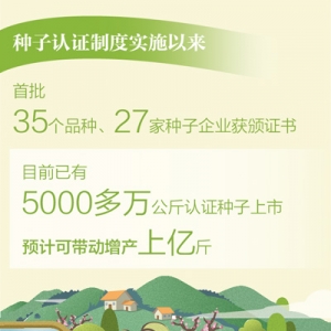 种子“持证上岗”  农业更添保障（大数据观察）