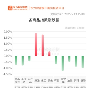 期市收评