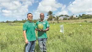 “为地区国家基建发展注入动力，为民生发展打开一扇窗”（国际视点） ...
