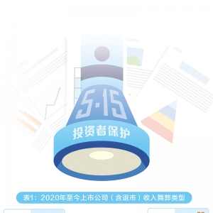 从帮凶到漏网之鱼：如何追责财务造假“第三方”合谋者？